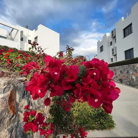 Sun Valley & Residency * Agios Georgios (Girne)